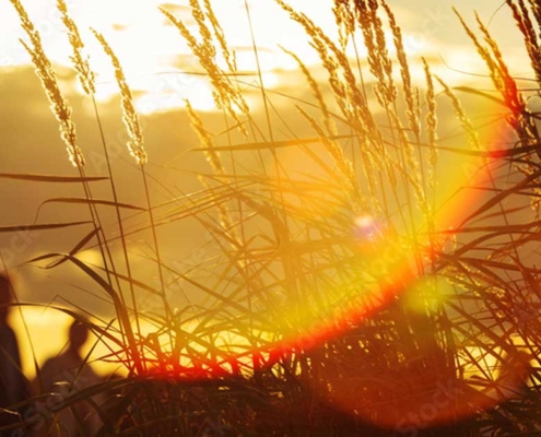 header1