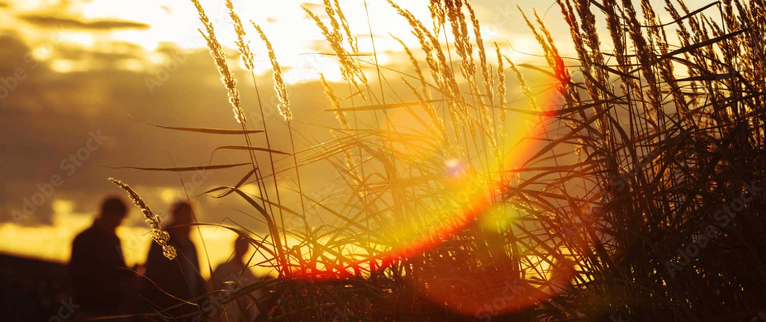 header1